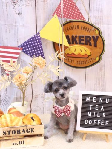 20240915おこげちゃん